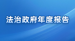 法治政府年度报告