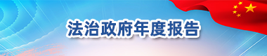 法治政府年度报告