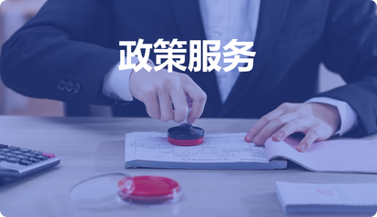 政策服务