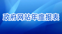 政府网站年度报表